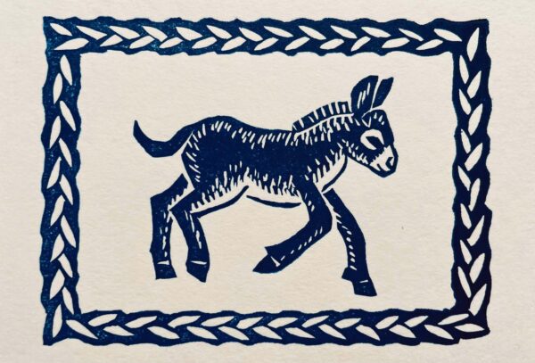 Baby Donkey